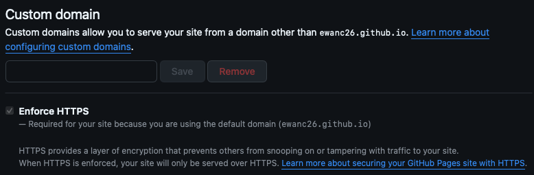 Screenshot showing the custom domain field.